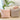 Cushion Covers