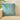 Green Turaco Cushion Cover